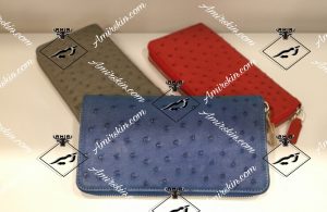 کیف پول چرم شترمرغ در یه رنگ مختلف 