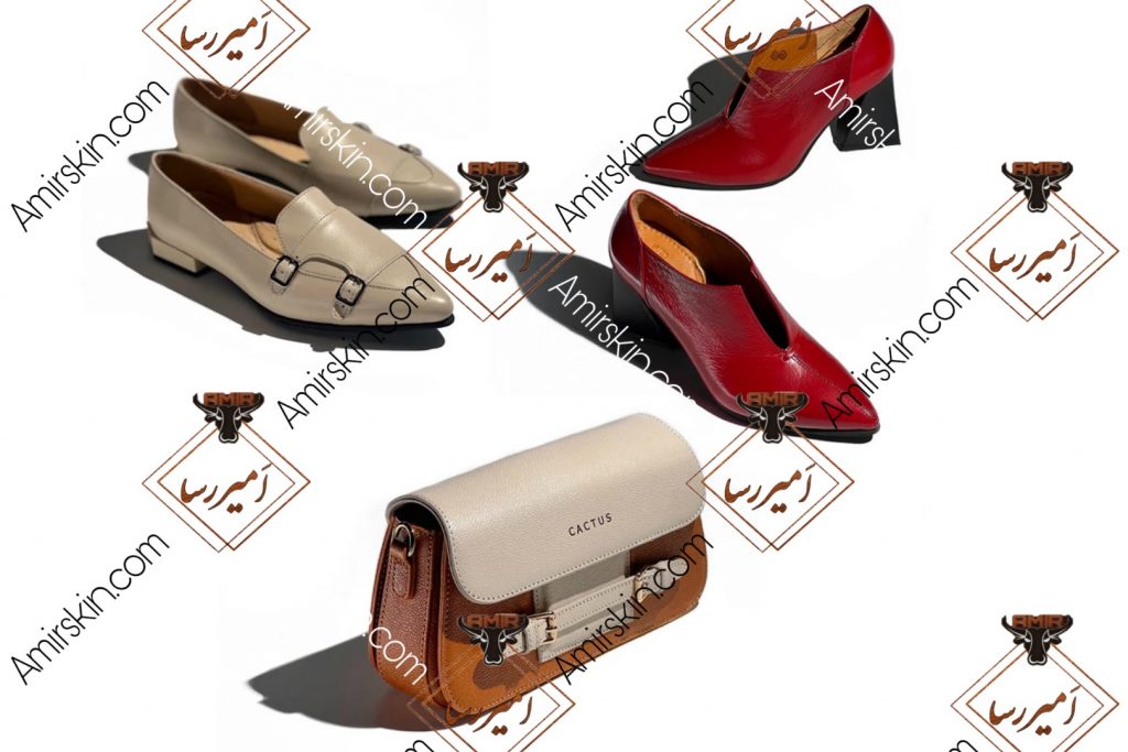 ست کیف و کفش دو رنگ